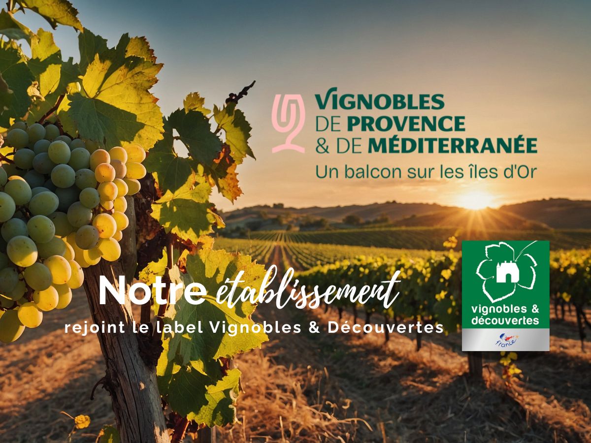 hotel-toulon-label-vignobles-decouvertes-oenotourisme-var (1)