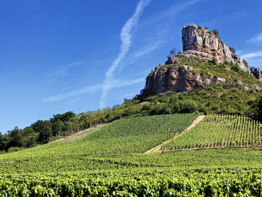 hotel-toulon-label-vignobles-decouvertes-oenotourisme-var-6