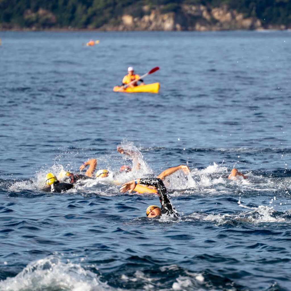toulon-swim-race-2026
